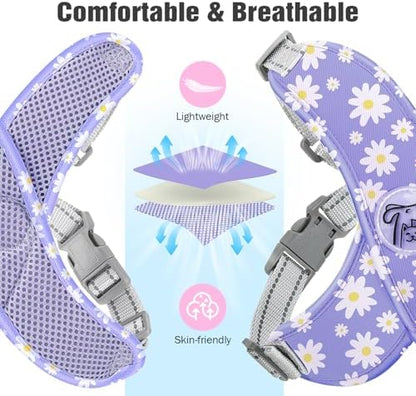 Pawaboo Small Dog Harness and Leash Set, Puppy Harness X-Frame Adjustable - Image 5