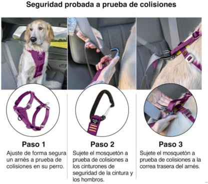 Kurgo Enhanced Strength Tru-Fit Smart Harness, Deep Violet - Image 5