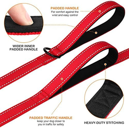 Joytale Dog Leash for Large Dogs that Pull, Double Handle - Image 2