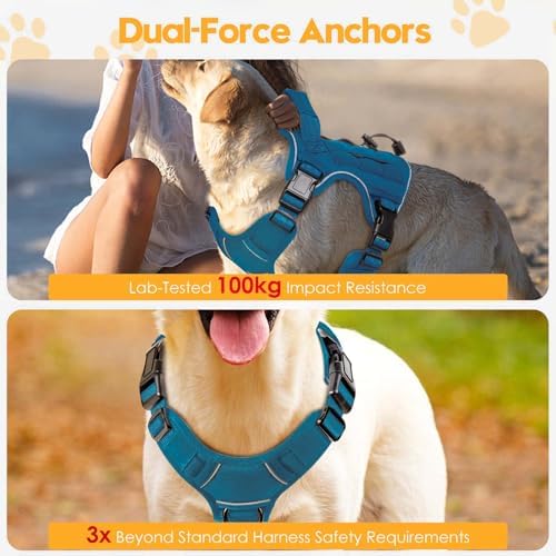 Heavy-Duty Tactical Dog Harness - Image 4