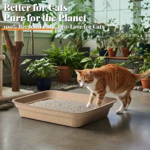 10-Pack Disposable Litter Box for Kitty Cats, Thick & Leak-Proof, Eco-Friendly - Image 4