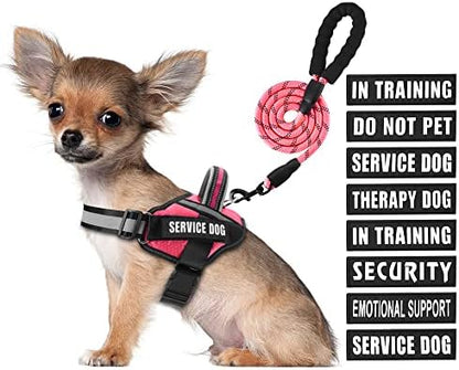 Service Dog Vest Harness and Leash Set, Animire in Training Dog Harness by Animire