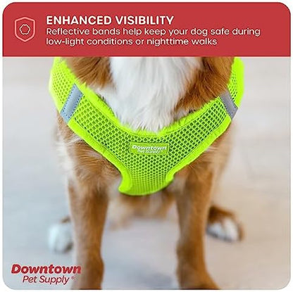 Downtown Pet Supply Step-in Dog Harness – No Pull, Adjustable Padded Mesh - Image 6
