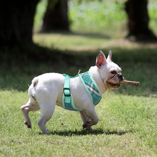 PUPTECK Small Dog Harness and Leash Set No Pull - Image 6