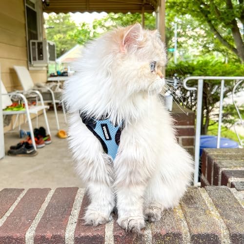 Voyager Step-in Lock Cat Harness & Leash Set - Image 6