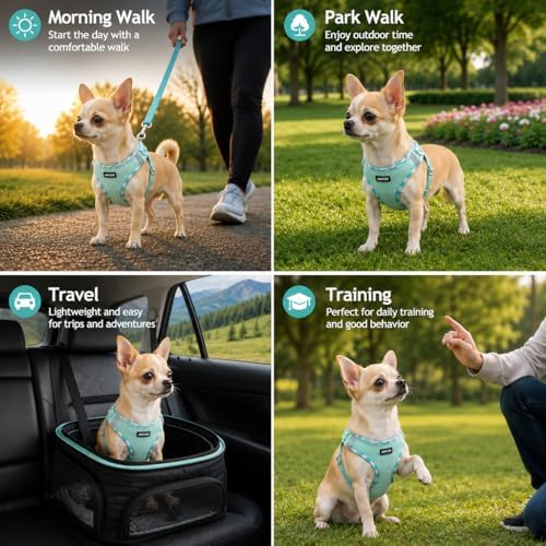 AMTOR Small Dog Harness with Leash Set, No Escape Easy Walk Puppy Harnesses - Image 3