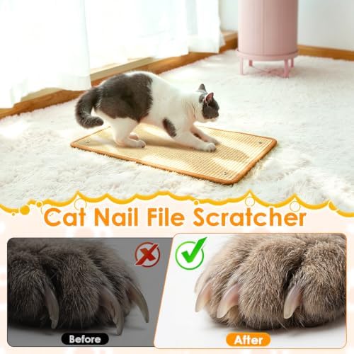 Cat Nail File Scratcher Mat Interactive Hanging Chirping Bird Cat Toy - Image 5