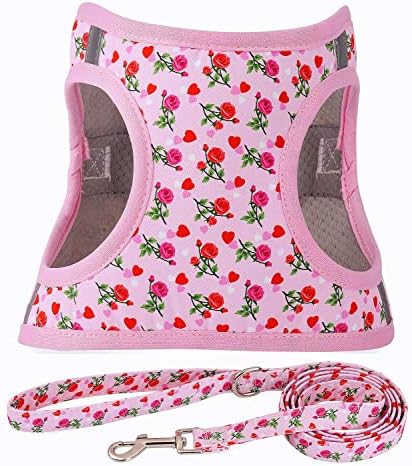 Step in Valentine's Day Dog Harness Leash Set- All Weather Reflective No-Pull by MOONPET