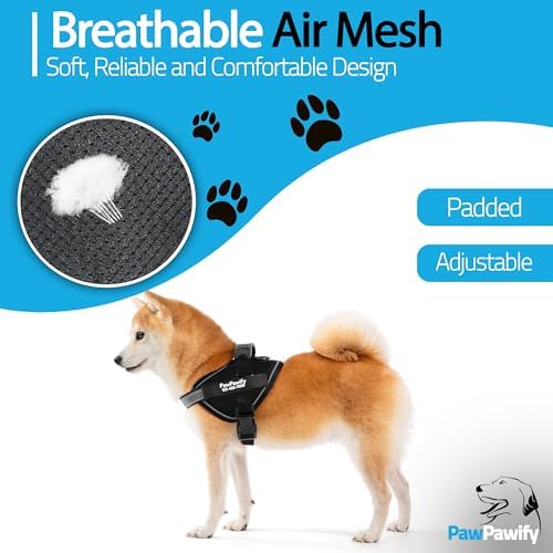 Custom No Pull Dog Harness - Image 4