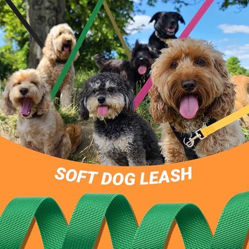 12 Pack Bulk Dog Leashes, 4FT Pet Lead Leash - Image 5