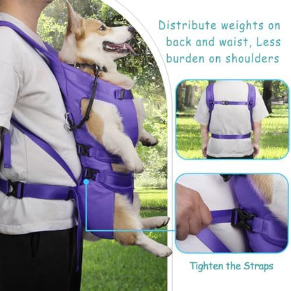 PetBonus Dog Front Carrier Backpacks, Legs Out Easy-fit Puppy Chest Carrier - Image 3