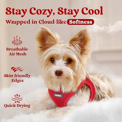 rabbitgoo Step-in Small Dog Harness, Puppy Vest - Image 3