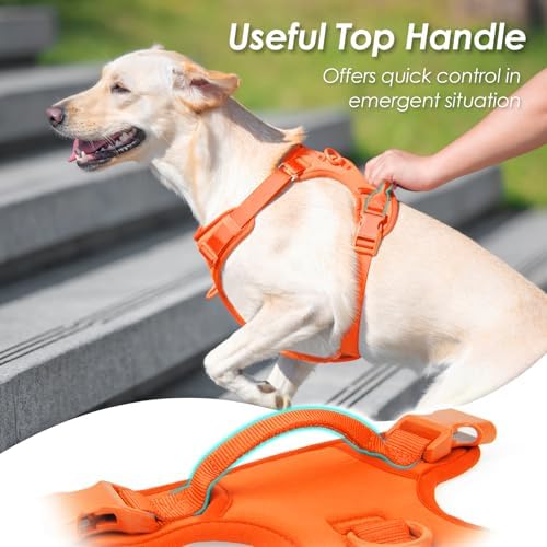 Sunraymascota No Pull Dog Harness - Image 4