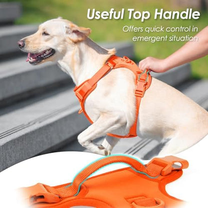 Sunraymascota No Pull Dog Harness - Image 4