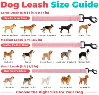 Best Pet Supplies Voyager Nylon Dog Leash - Image 6