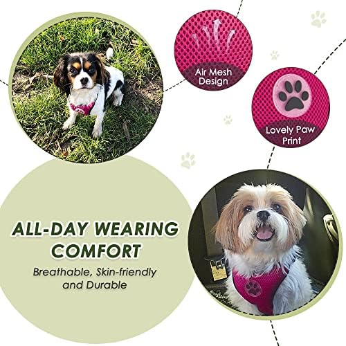 SlowTon Dog Seat Belt and Harness - Image 5