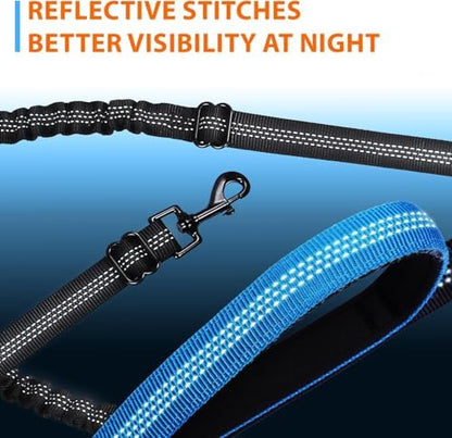 SparklyPets Hands Free Dog Leash, Small Breeds - Image 6