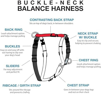 Blue-9 Balance Harness® for Dogs, Buckle-Neck - Image 2