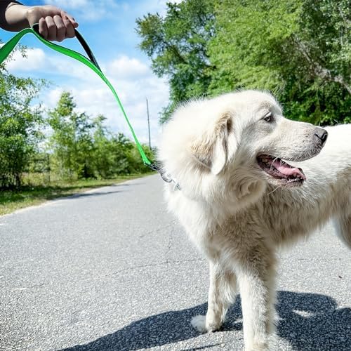 Joytale Dog Leash for Large Dogs that Pull, Double Handle - Image 4