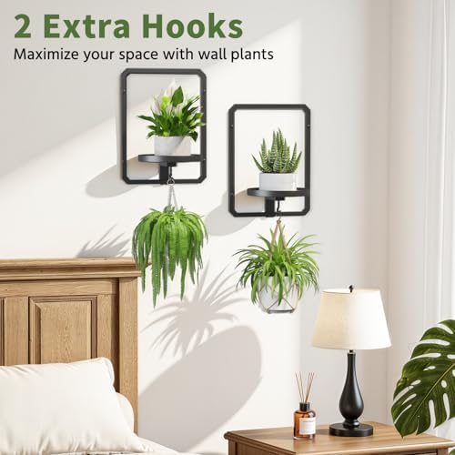 LASZOLA Plant Picture Frame Holder Shelf Wall Window Indoor - Image 4