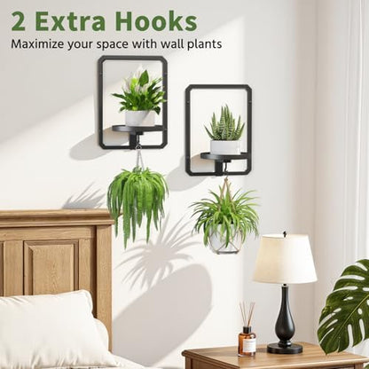 LASZOLA Plant Picture Frame Holder Shelf Wall Window Indoor - Image 4