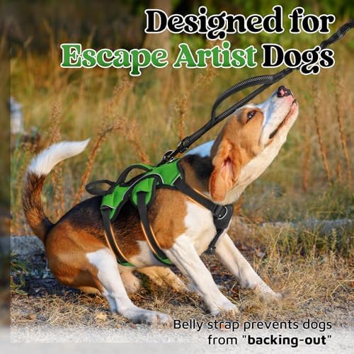 rabbitgoo Escape Proof Dog Harness - Image 2