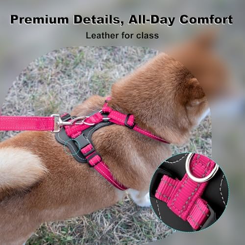 Plutus Pet No Pull Dog Harness - Image 2