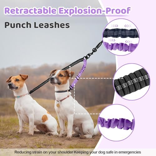 Double Dog Leash - Image 5