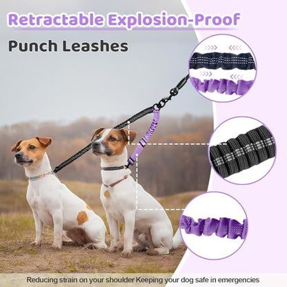 Double Dog Leash - Image 5