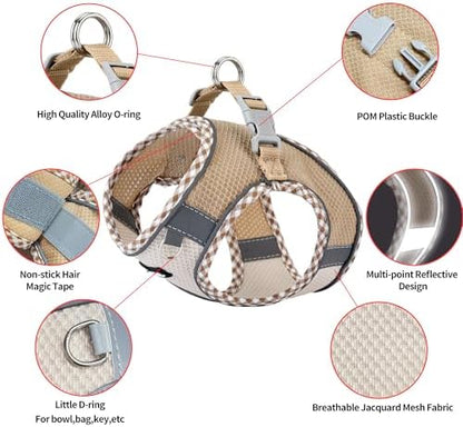 AIITLE Small Dog Harness and Leash Set - Image 4