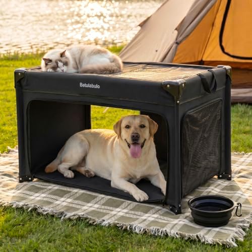 36 Inch Collapsible Travel Dog Crate, 4 Doors & Soft Pet Mat - Image 2