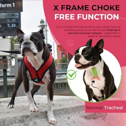 Gooby Comfort X Head-in Dog Harness, Choke-Free - Image 6