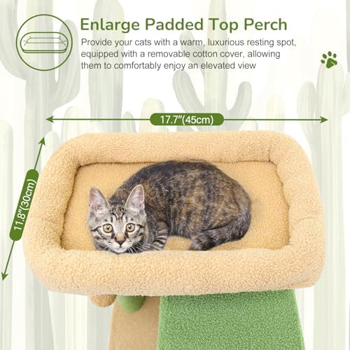 Globlazer F70 Pro Cactus Heavy Duty Cat Tree Tower - Image 2