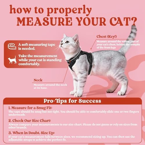 rabbitgoo Cat Harness and Leash Set, Escape Proof Vest - Image 2