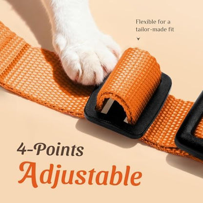 Dooradar Cat Harness and Leash Set, Adjustable and Escape Proof - Image 3