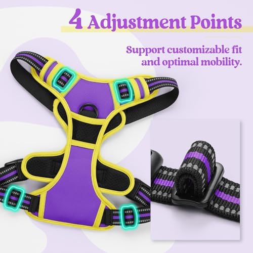 rabbitgoo Dog Harness, No Pull for Small Dogs - Image 4