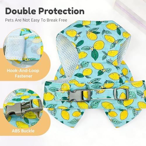 BAEJMJK Dog Harness and Leash Set - Image 6