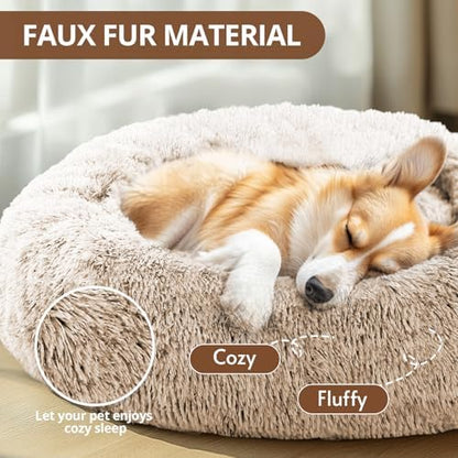 JOLLYVOGUE Calming Dog Bed for Small Dogs - Image 2