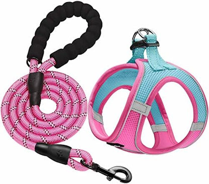 haapaw Dog Harness with Leash Set, No Pull Adjustable Reflective Step-in Puppy by haapaw