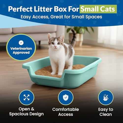 KittyGoHere Senior Cat Litter Box Small - Image 2