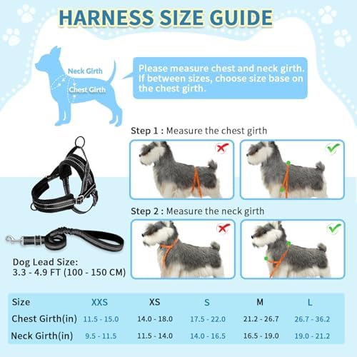 SlowTon No Pull Small Dog Harness and Leash Set - Image 5