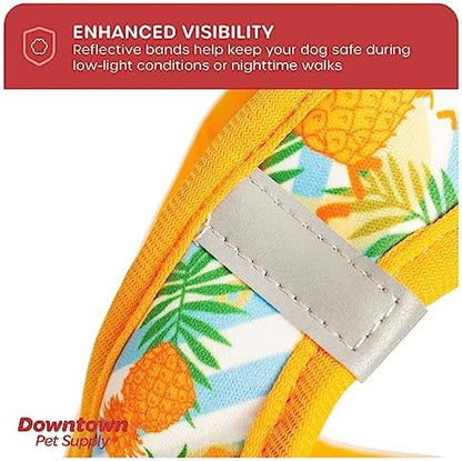 Downtown Pet Supply Step-in Dog Harness – No Pull, Adjustable Padded Mesh - Image 7