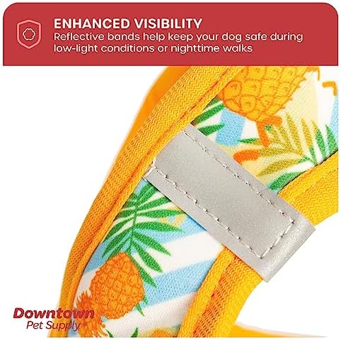 Downtown Pet Supply Step-in Dog Harness – No Pull, Adjustable Padded Mesh - Image 7