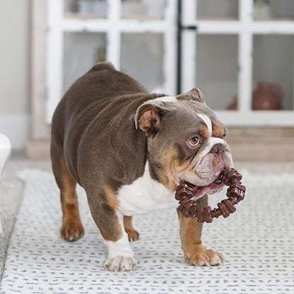 Nylabone Textured Ring Power Chew Toy - Image 5