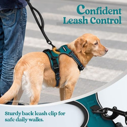 rabbitgoo Dog Harness No Pull - Image 6