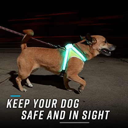noxgear LightHound Light Up Reflective Dog Harness and Leash - Image 5