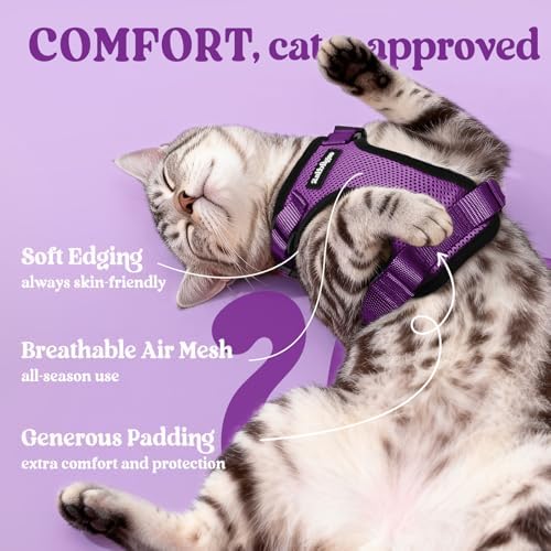 rabbitgoo Cat Harness and Leash Set, Escape Proof Vest - Image 4