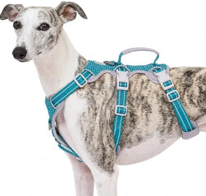 Huntboo Escape Proof Dog Harness, No Pull Reflective Harness by Huntboo