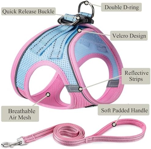 Dog Harness with Leash Set, Step-in Adjustable Puppy Vest - Image 2