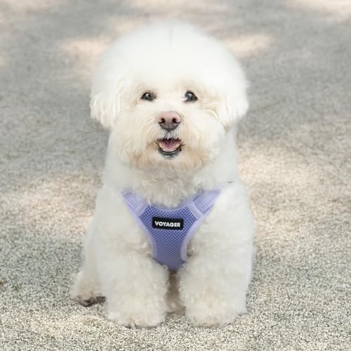Voyager Step-in Flex Adjustable Dog Harness - Image 7